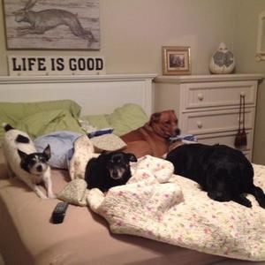 Meet your Posher, Carole